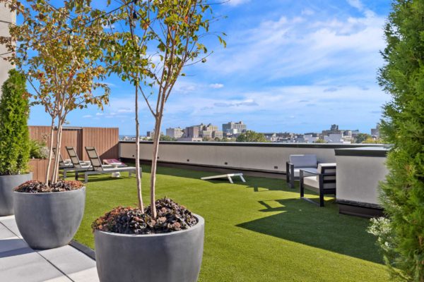 Rooftop, planters with trees